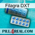 Filagra DXT 40